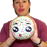 BeckBro Cookie Bundle