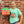 DirtBoi T-Shirt